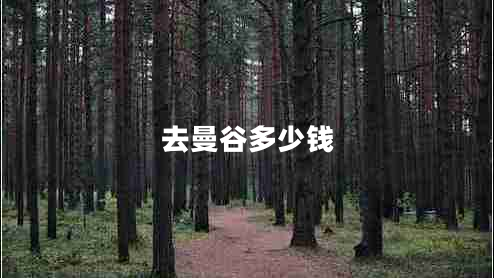 去曼谷多少錢