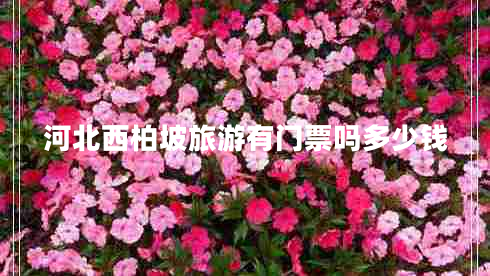 河北西柏坡旅游有門(mén)票嗎多少錢(qián)