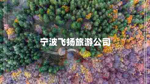 寧波飛揚旅游公司