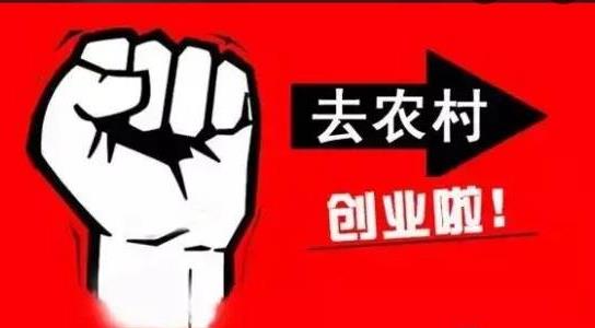農村不起眼的商機有哪些
