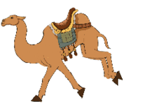 動(dòng)物運(yùn)動(dòng)的方法有哪些特點(diǎn)是什么意思