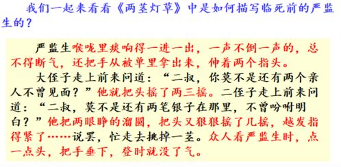 文章描寫(xiě)方法有哪些特點(diǎn)