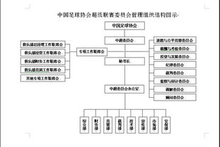 組織有什么分類(lèi)方法有哪些內容