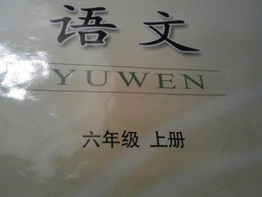 運用了打比方說(shuō)明方法的句子有哪些