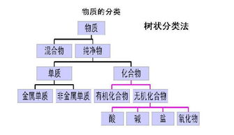 常見(jiàn)分類(lèi)方法有哪些類(lèi)型