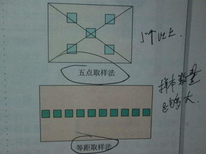 生物的調查方法有哪些內容
