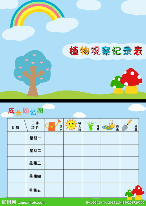 幼兒園觀(guān)察植物的方法有哪些