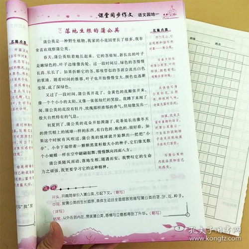 小學(xué)生閱讀與作文方法有哪些內容