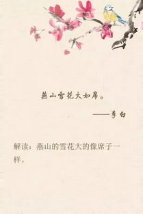 運用夸張的詩(shī)句古詩(shī)
