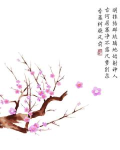 關(guān)于梅花花詩(shī)句古詩(shī)大全