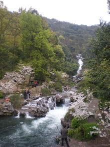 詩句,小溪,流動(dòng)