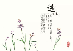 四季的古詩(shī)詩(shī)句有哪些