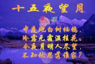 關(guān)于春天的思念家鄉的詩(shī)句
