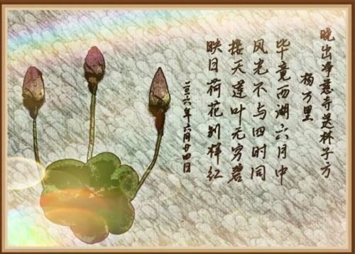 關(guān)于夏的詩(shī)句和關(guān)于夏的成語(yǔ)