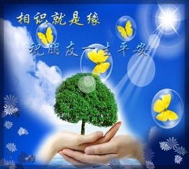 兩個(gè)關(guān)于友情的詩(shī)句