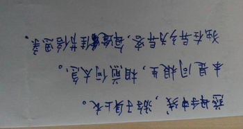 關(guān)于家庭親情的古詩(shī)句