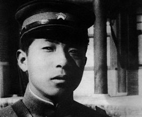 關(guān)于張學(xué)良的詩句