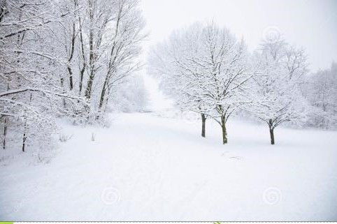 關(guān)于雪的兩句詩(shī)句并寫(xiě)出出處和作者