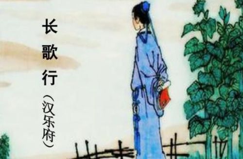 古詩(shī),詩(shī)句,珍惜
