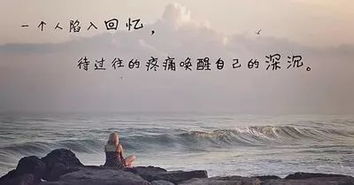 關(guān)于寂寞心情的詩(shī)句