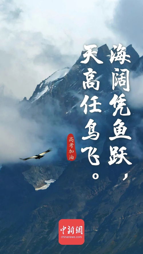 詩(shī)句