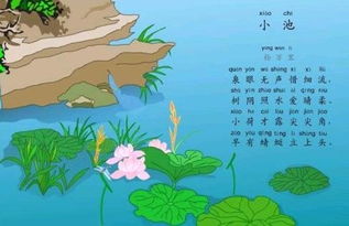 詩(shī)句,夏天