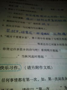 寫(xiě)一篇關(guān)于古詩(shī)句的作文