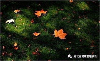 詩(shī)句,感慨,懷念
