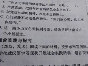 反語(yǔ),詩(shī)句,修辭手法