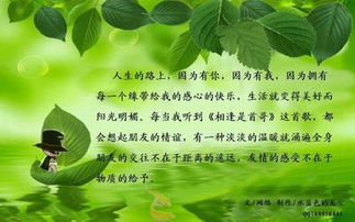 關(guān)于友誼的詩(shī)句有哪些,關(guān)于友誼的詩(shī)句和名言,關(guān)于友誼的詩(shī)句古詩(shī)