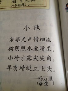 描寫(xiě)xiatian的古詩(shī)句