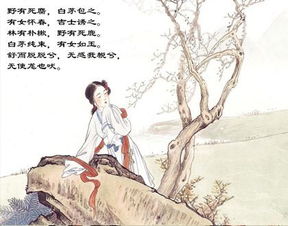 關(guān)于寫(xiě)孔子的詩(shī)句