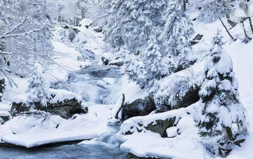 關(guān)于雪的有詩(shī)意詩(shī)句有哪些