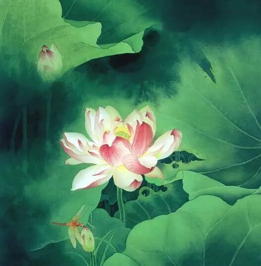 初夏,詩(shī)句,走進(jìn)