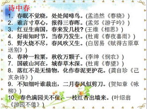 初中生積累的古詩(shī)句類(lèi)型