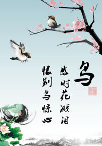 關(guān)于鳥(niǎo)的詩(shī)句古詩(shī)四句