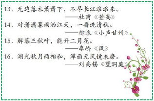 贊美夏花的古詩(shī)句