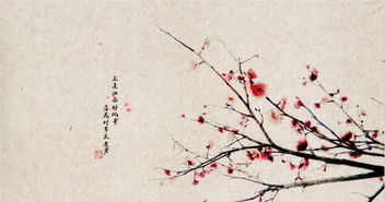 關(guān)于反春的詩(shī)句