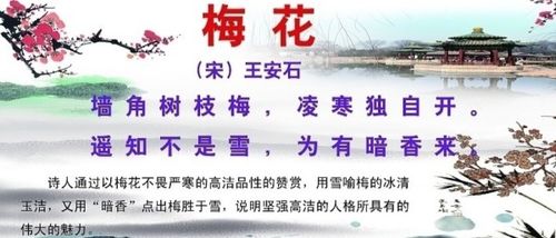 古詩(shī),詩(shī)句,描寫(xiě)