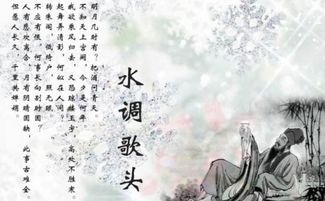 古詩(shī)中有暴風(fēng)雪意象的詩(shī)句