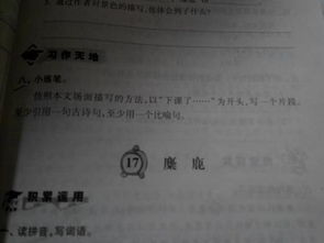運用比喻和古詩(shī)句的段落