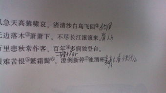 形容人生第一次的古詩(shī)句