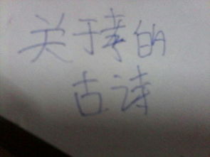 關(guān)于孝的詩(shī)句兩句