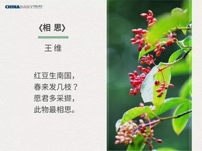 春日古詩(shī)中蘊含哲理的詩(shī)句