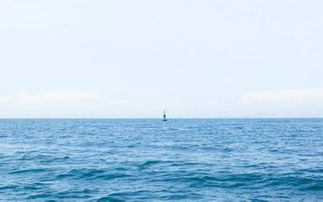 關(guān)于大海心情的現代詩(shī)句