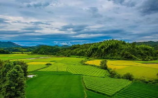 帶有田園的古詩(shī)句