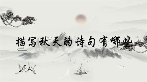 秋月的古詩(shī)句