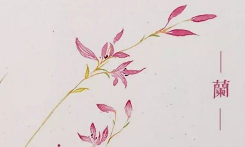 描寫(xiě)蘭花的古詩(shī)句三句