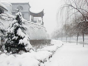 大雪的詩(shī)句古詩(shī)詞
