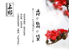 默默為愛(ài)情付出的古詩(shī),描寫(xiě)愛(ài)情的古詩(shī)句,表達愛(ài)情的古詩(shī)句